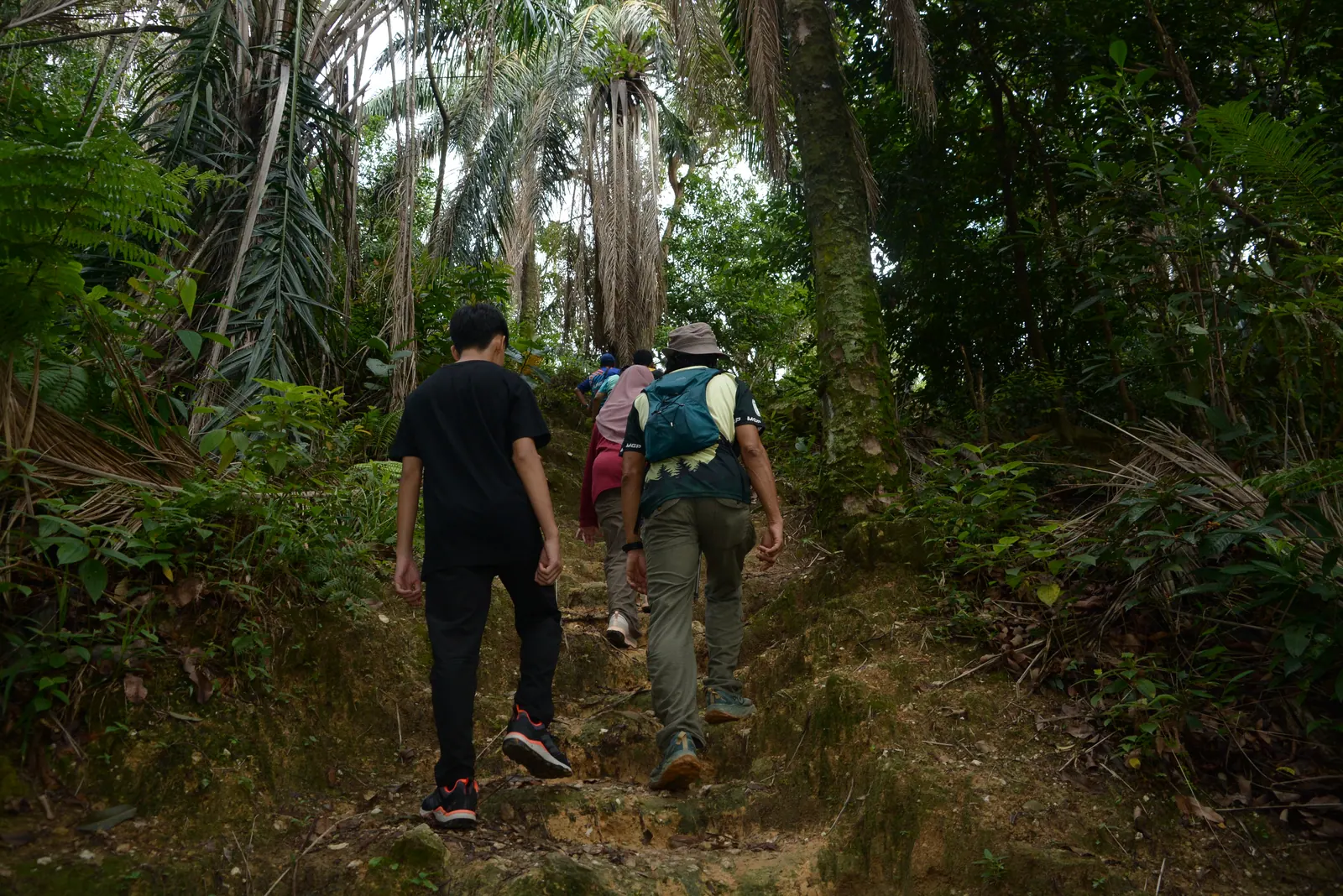 A small group climbing a narrow trail through dense tropical forest